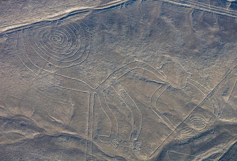 Beyond Egypt to Peruvian Plains of Nazca, Cats Mummified for Eternal ...